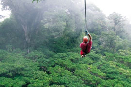 Zip line canopy tour