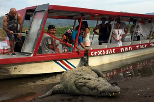 crocodile tour costa rica