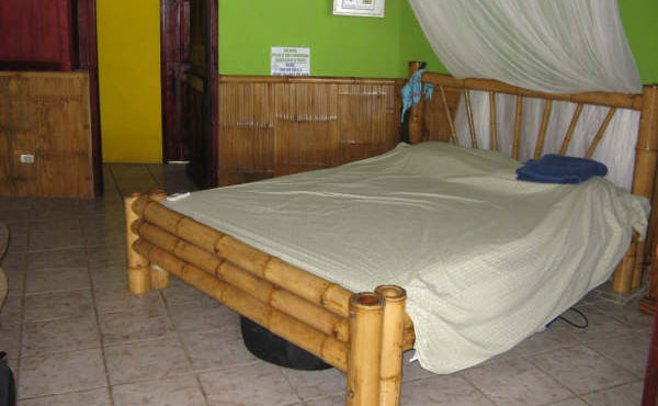 Green Iguana bedroom