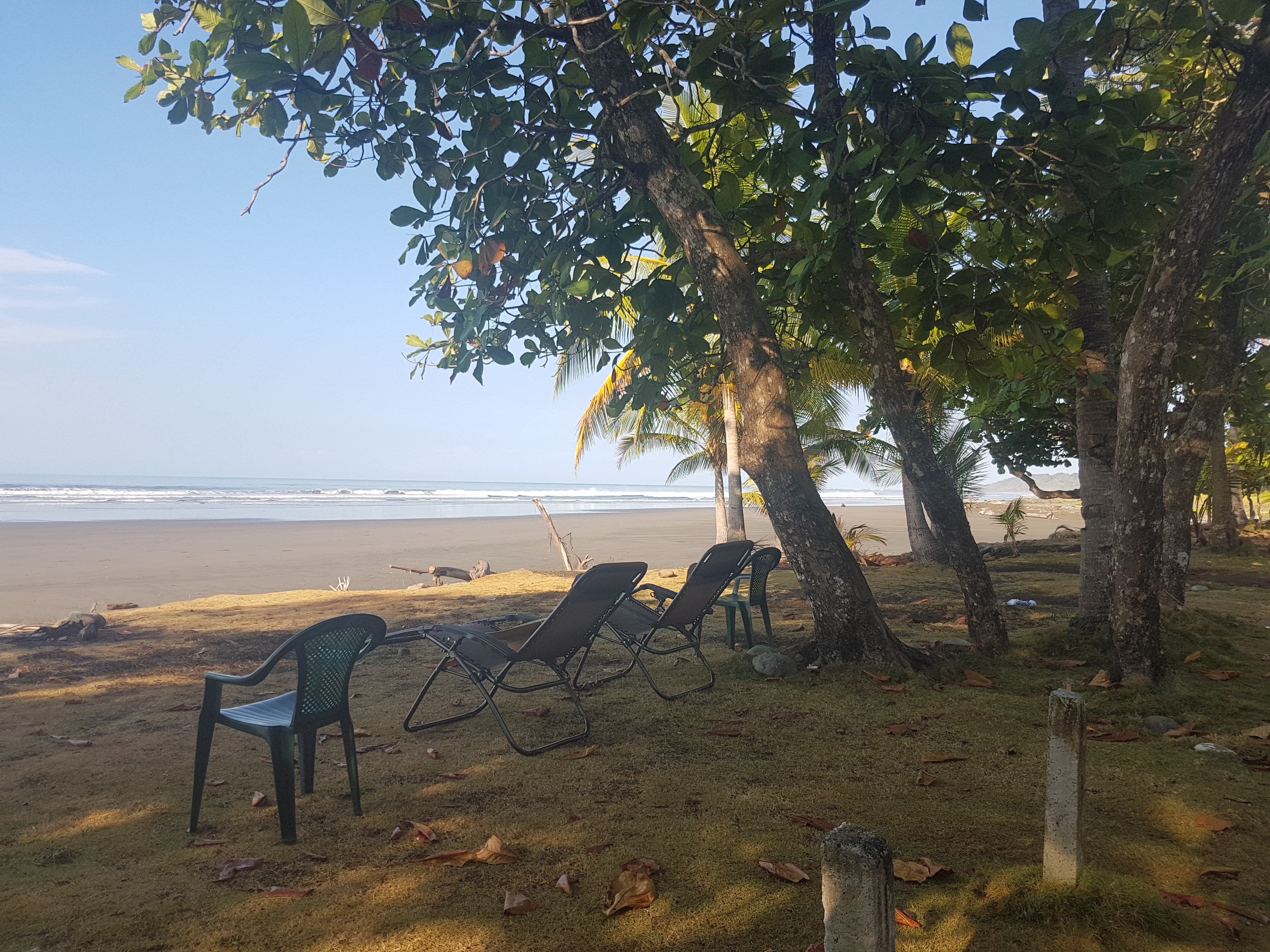 Tattoo Party on the Beach